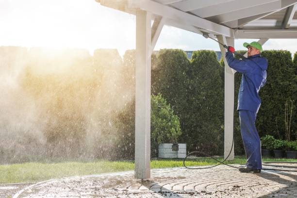 Best Fence Cleaning  in Beaverton, MI